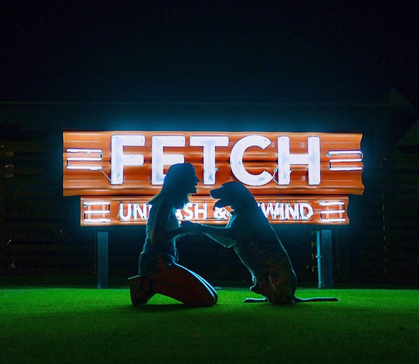 Fetch Dog Park and Ice House - Alpharetta