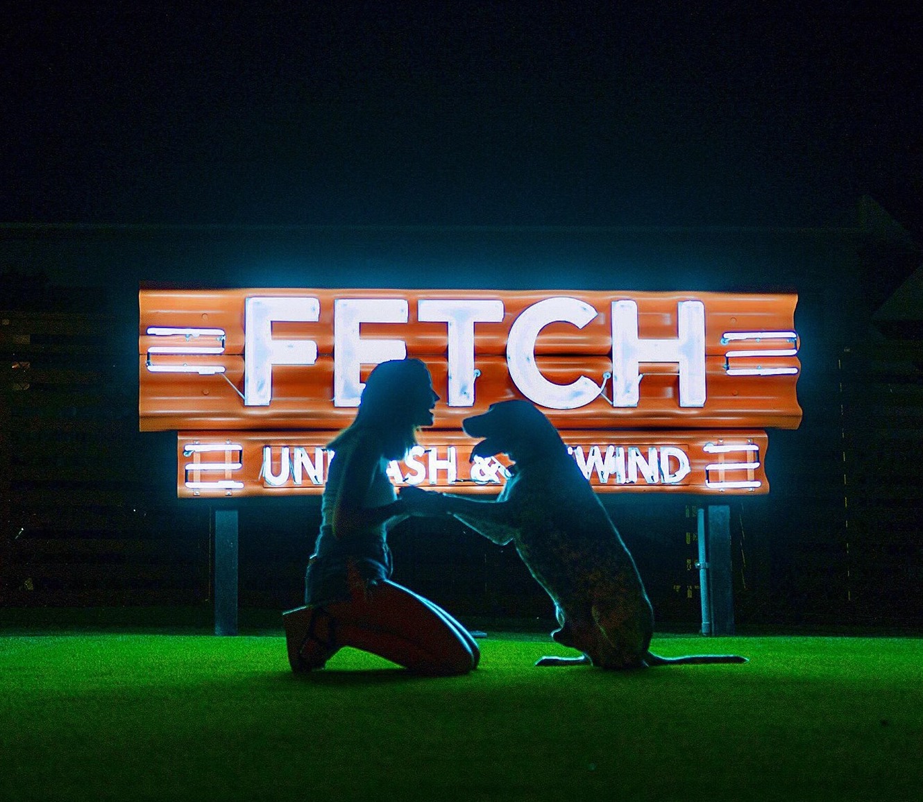 Fetch Dog Park and Ice House - Alpharetta