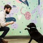 Common Companion Vet Co. Beltline Madison Yards