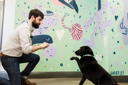 Common Companion Vet Co. Beltline Madison Yards