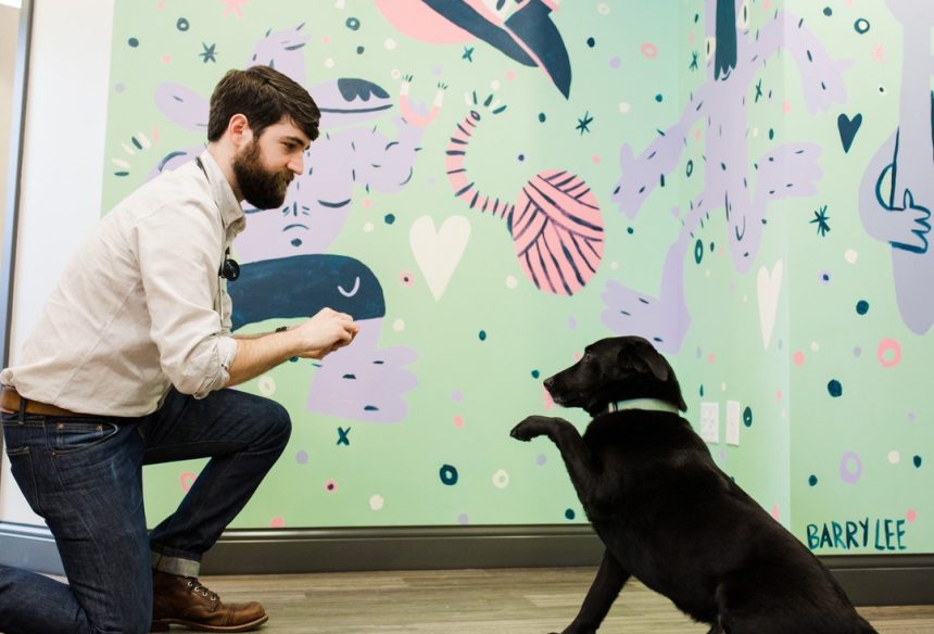 Common Companion Vet Co. Beltline Madison Yards