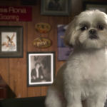 Jess Rona Grooming - Larchmont Place - Featured Photo