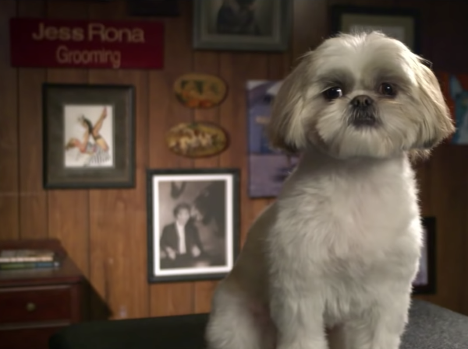 Jess Rona Grooming - Larchmont Place - Featured Photo