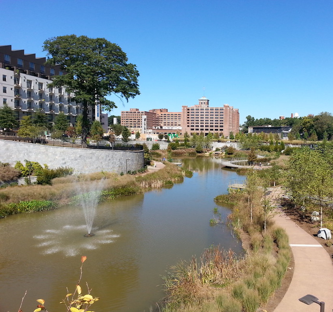 Old Fourth Ward - Safely Reopen