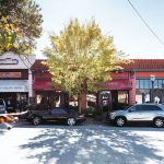 Kinship - Virginia-Highland