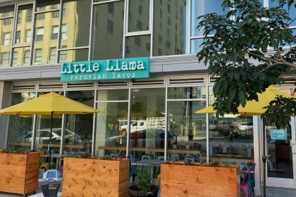 Little Llama DTLA Open