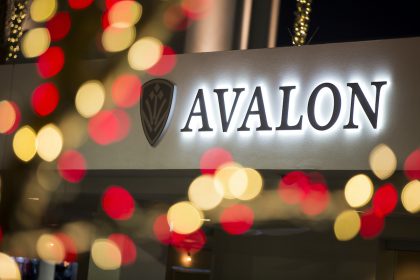 Avalon Christmas tree, ice skating, music.