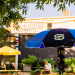 Ladybird and Switchyards Curb Cup