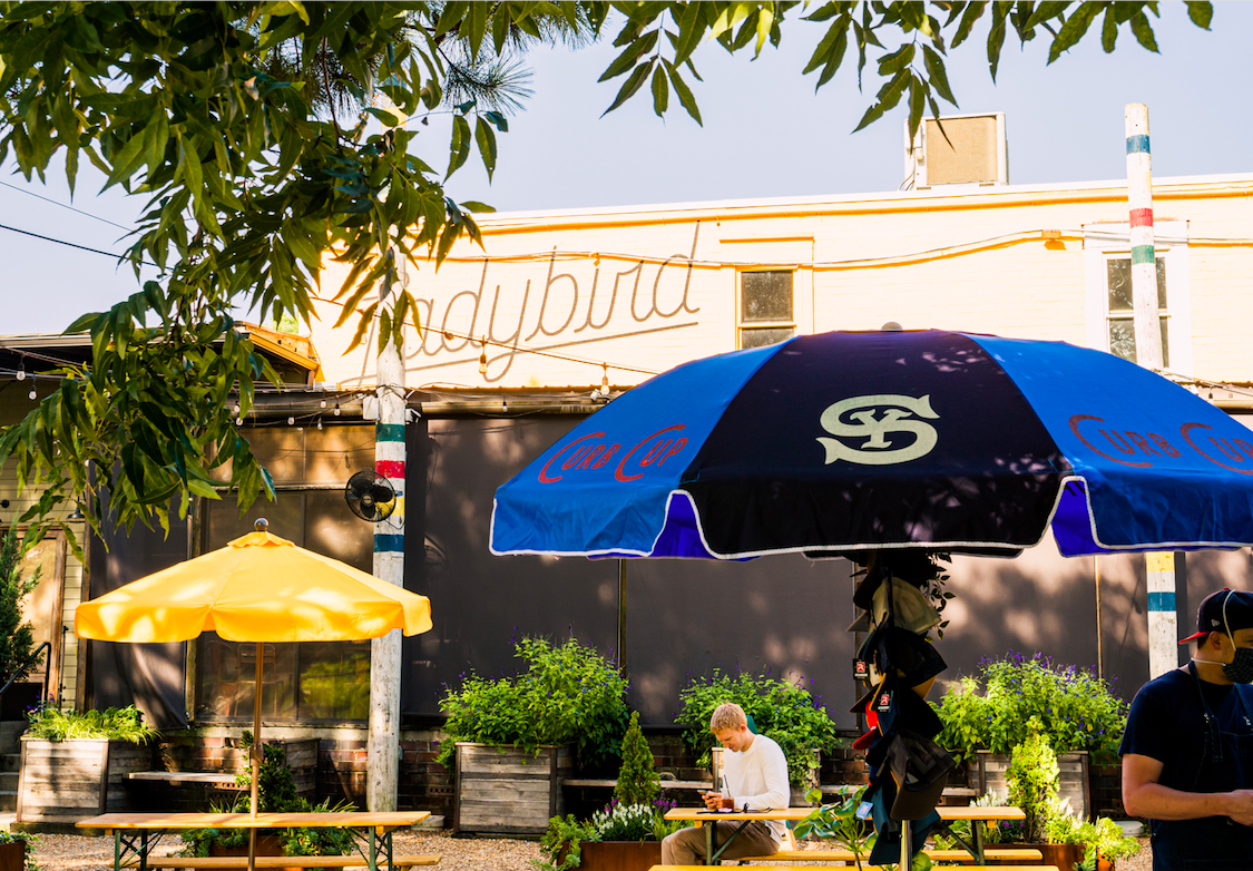 Ladybird and Switchyards Curb Cup