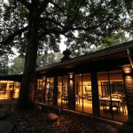 Photo by Michael Thompson - The Chastain - Now Open