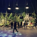 Plant Shop With Hollywood Ties Opening Trilith Retail Shop