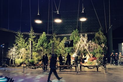 Plant Shop With Hollywood Ties Opening Trilith Retail Shop