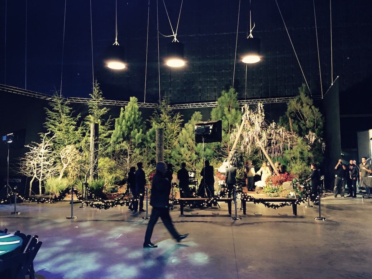 Plant Shop With Hollywood Ties Opening Trilith Retail Shop