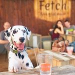 [Exclusive] Dog Park Restaurant Fetch Park Coming To The Works