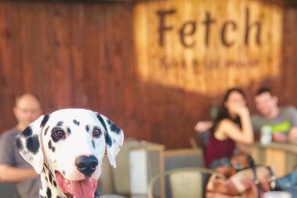 [Exclusive] Dog Park Restaurant Fetch Park Coming To The Works