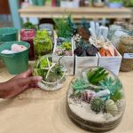 Plant and Terrarium Workshop Store PlantHouse To Grow Roots in Decatur - Photo