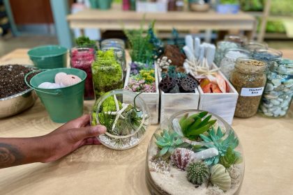 Plant and Terrarium Workshop Store PlantHouse To Grow Roots in Decatur - Photo