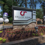 Lion Real Estate Group Acquires Collier Ridge For $67 Million