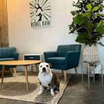 Rebel Raw is Renovating