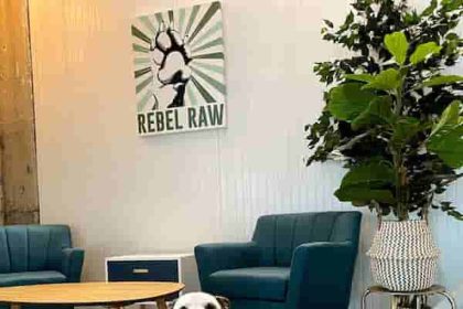 Rebel Raw is Renovating