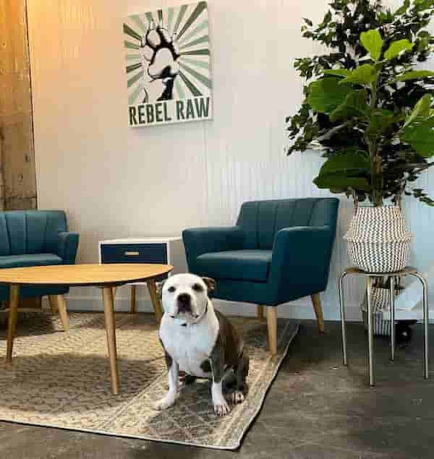 Rebel Raw is Renovating
