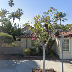 Chef Jessica Roy Plants Cultivar in Sherman Gardens