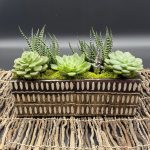 Thimbleberry House Moves Across the Way