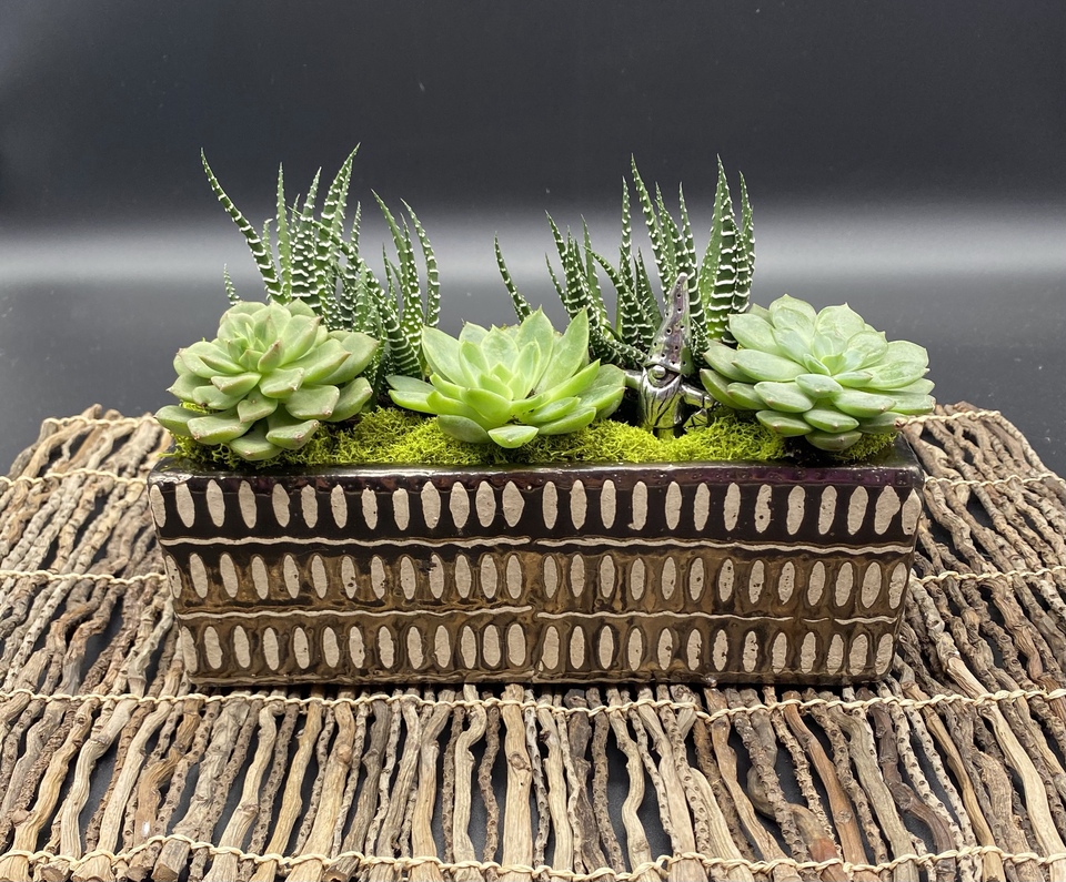 Thimbleberry House Moves Across the Way