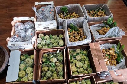 Hang Asian Market to Open Location in Duluth