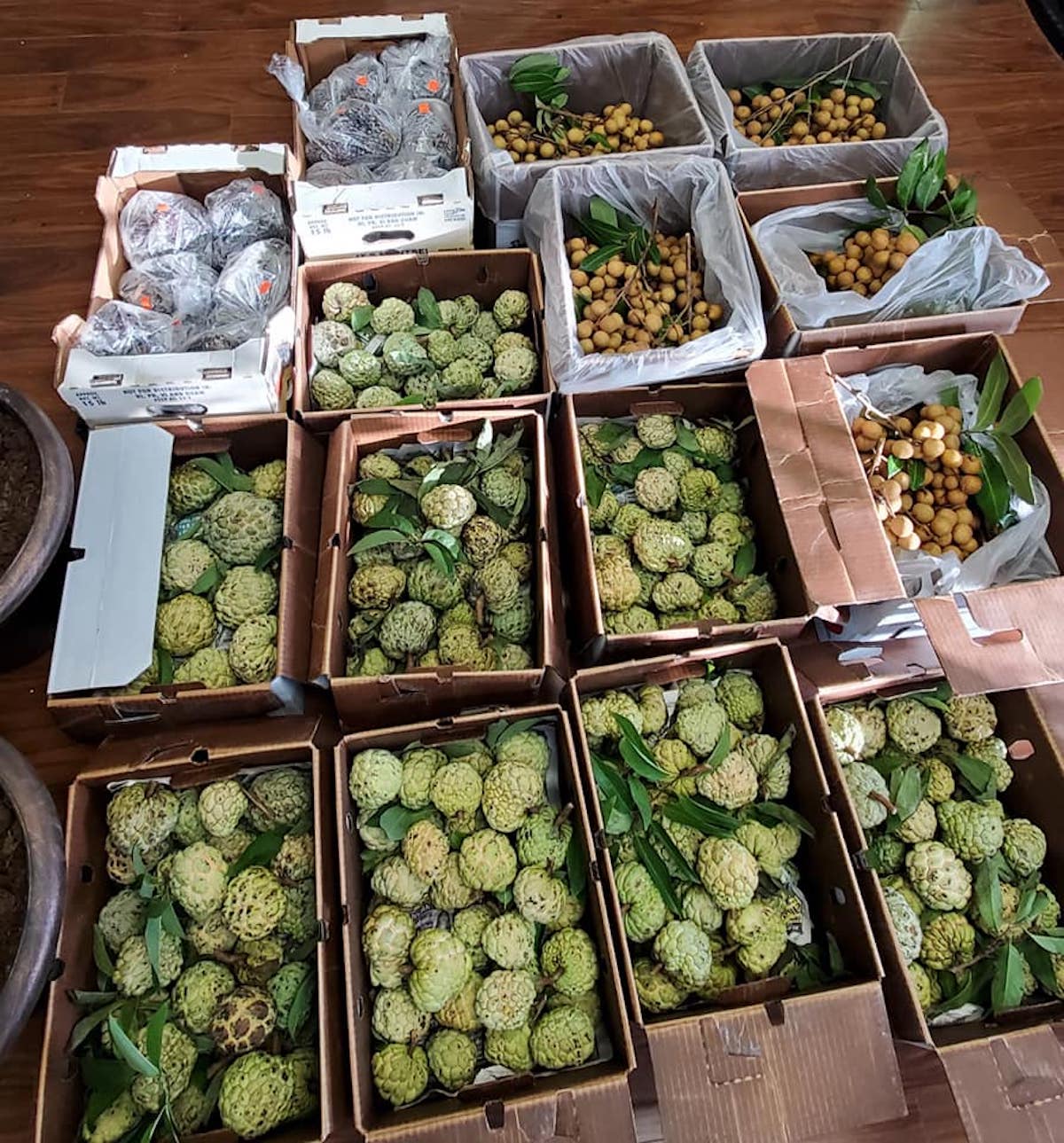 Hang Asian Market to Open Location in Duluth