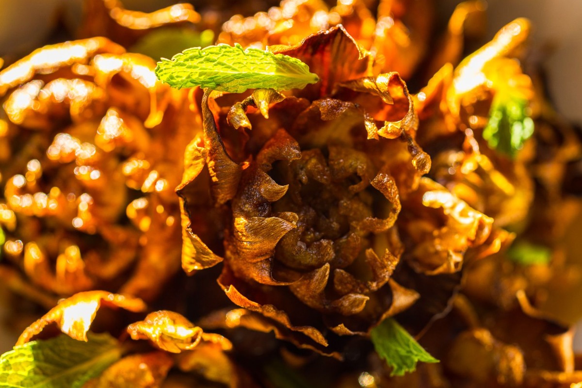 Mother Wolf Coming to Hollywood this Fall