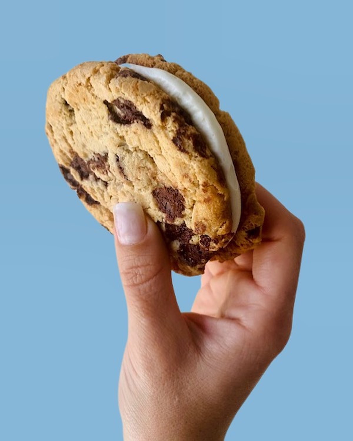 You’re A Cookie! Gets a Storefront