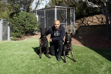 Netflix's Canine Intervention Star Opening NoHo Storefront in Early 2022