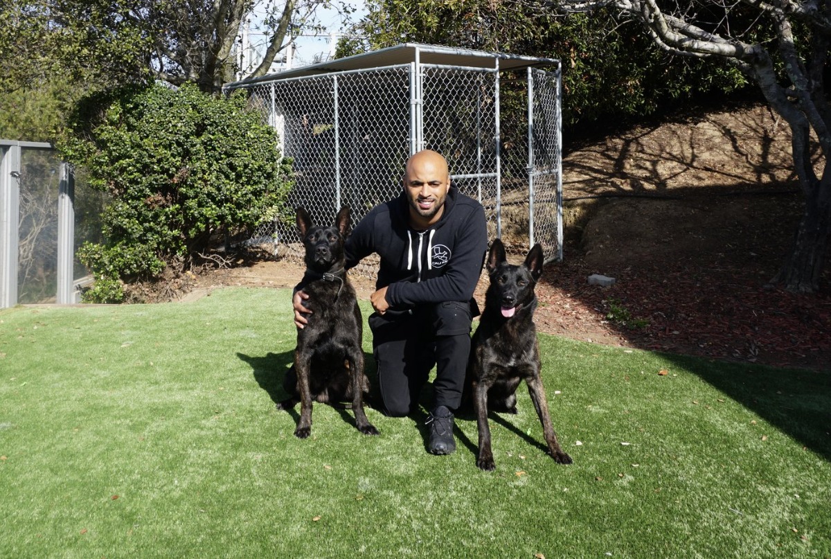 Netflix's Canine Intervention Star Opening NoHo Storefront in Early 2022