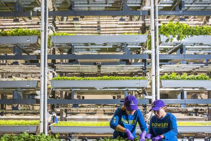 Bowery Farming Announces New 'Smart' Indoor Farm in Georgia
