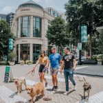 Fetch Park is Now Open in Buckhead Village - Photo 1