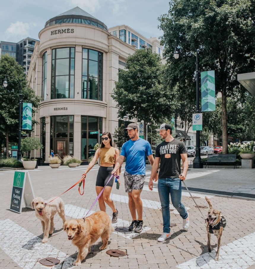 Fetch Park is Now Open in Buckhead Village - Photo 1