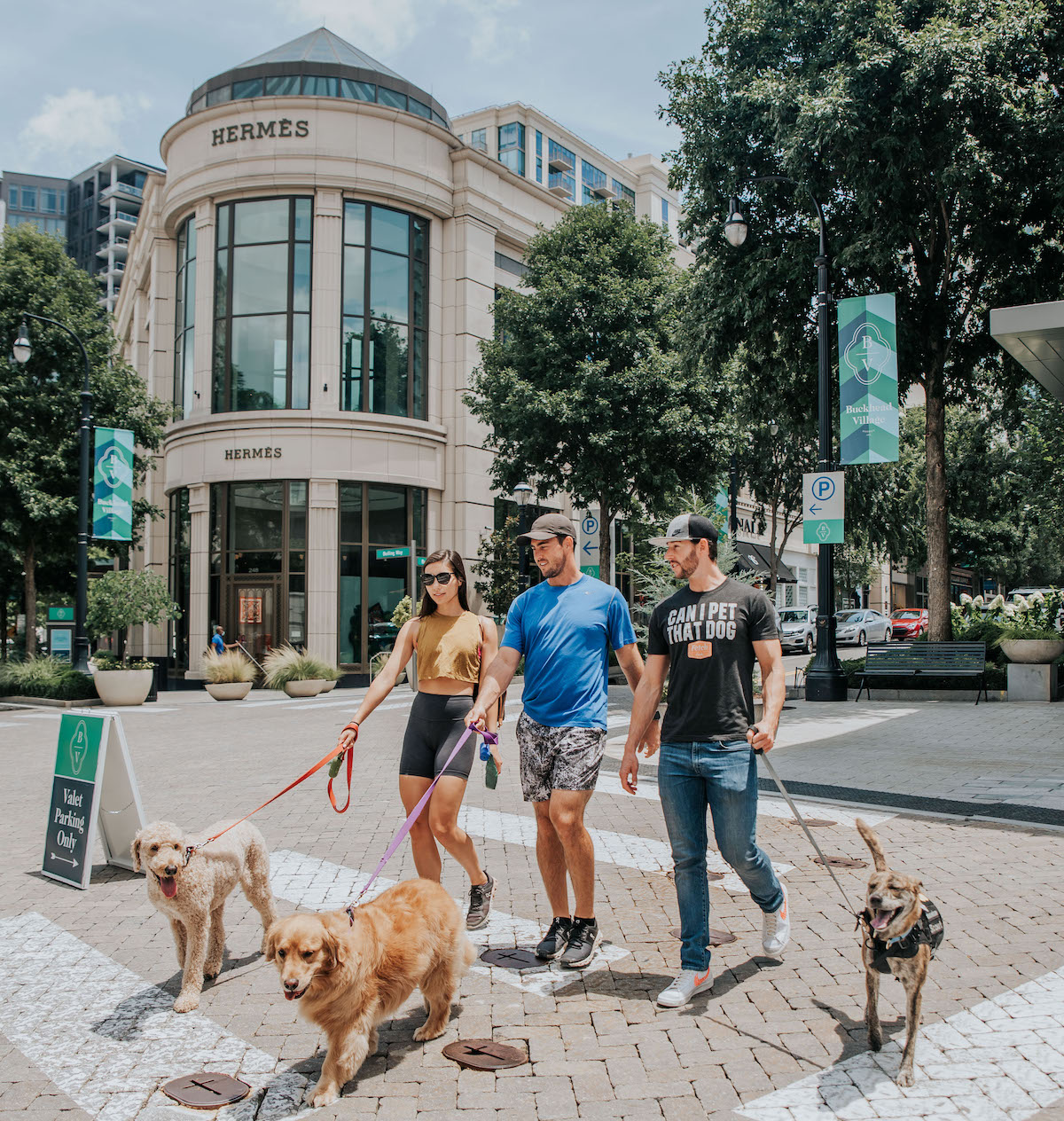 Fetch Park is Now Open in Buckhead Village - Photo 1