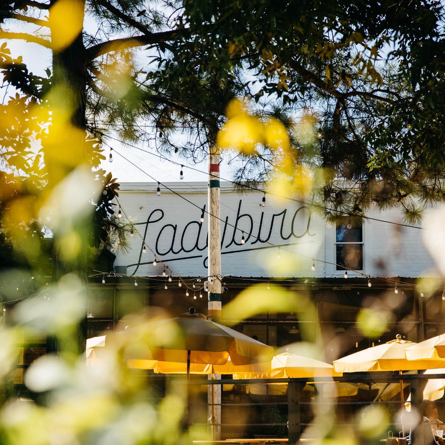 Ladybird to Add Live Music, Indoor Fireplace, and Additional Bars & Seating