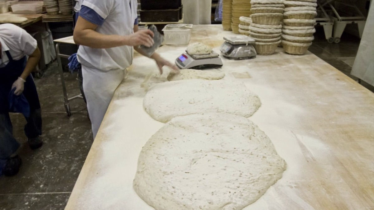 Publican Quality Bread Opening Storefront in Spring 2022