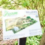 The Market Pavilion and Wellness Center To Open April 30 in English Avenue