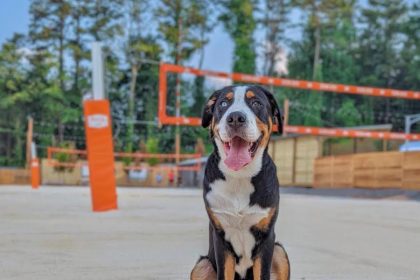 Fetch Park Debuts in Alpharetta With Volleyball Courts -- An Addition Not Seen at Its Other Parks - 1