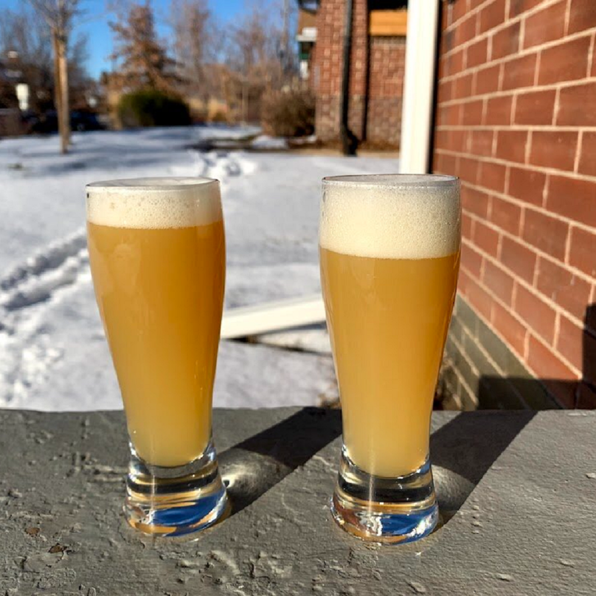 Wanderment Brewing May Debut in Denver