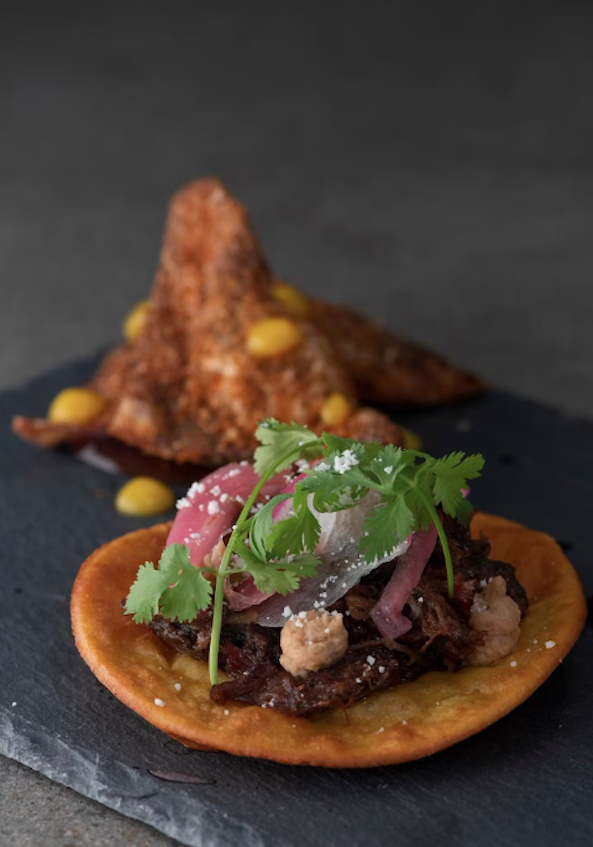 OKO to Soon Debut at Tribune