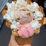 Blue Pineapple Files Plan Review for Third Sarasota Location