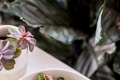 Healthy Concept Upbeet Restaurant Expanding to Nashville