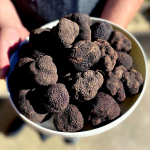 Two Italian Brothers Will Bring Their Mushroom-Centric Market Concept to Topanga