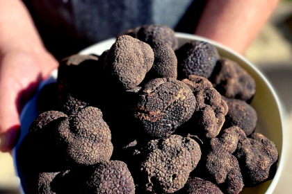 Two Italian Brothers Will Bring Their Mushroom-Centric Market Concept to Topanga