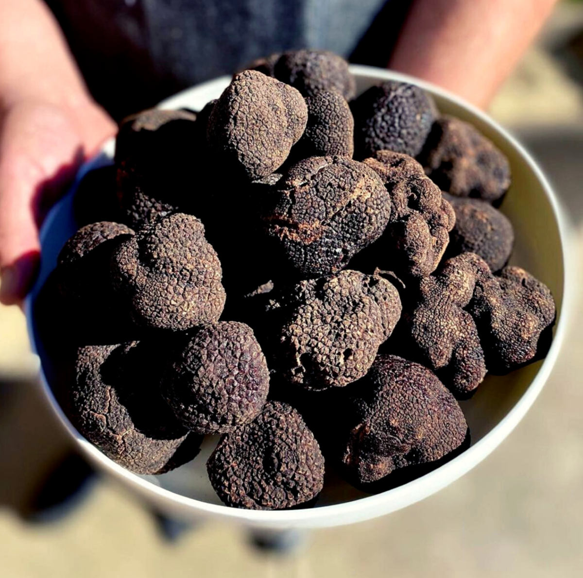 Two Italian Brothers Will Bring Their Mushroom-Centric Market Concept to Topanga