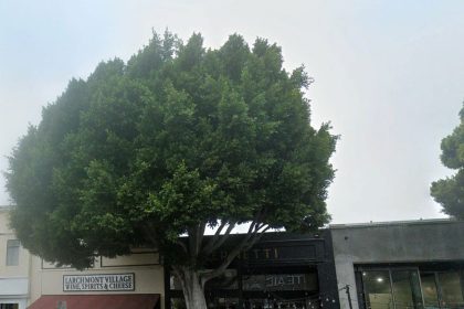 A Canadian-born Italian Restaurant Group is Debuting Something New This Fall